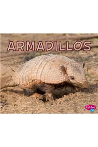 Armadillos