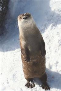 Northern River Otter Journal