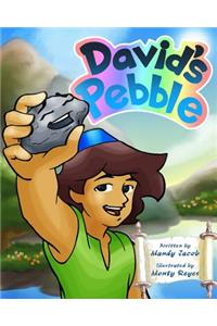 David's Pebble