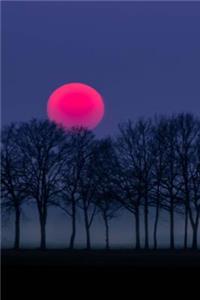 Trees Silhouetted Against a Pink Sun Journal