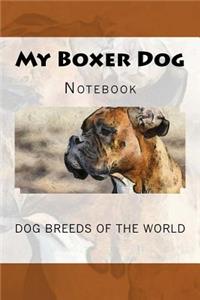 My Boxer Dog