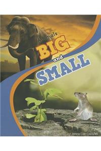 Animals Big and Small