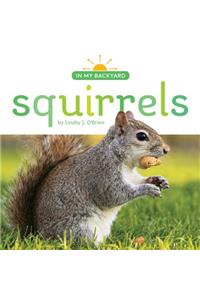 Squirrels