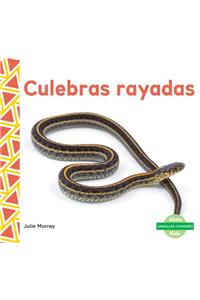 Culebras Rayadas (Garter Snakes)