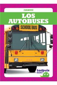 Los Autobuses (Buses)
