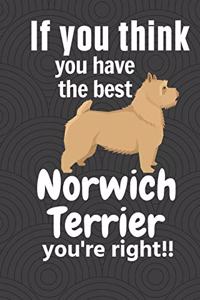 If you think you have the best Norwich Terrier you're right!!