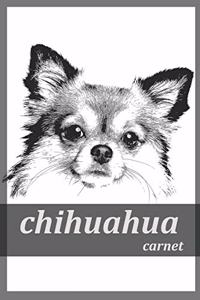 chihuahua carnet