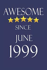 Awesome Since June 1999 Notebook Birthday Present