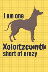 I am one Xoloitzcuintli short of crazy