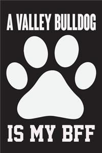 A Valley Bulldog is My Bff