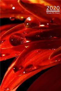 A5 2020 Diary Week To View Paperback Cover With Alternative Design -