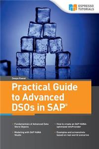 Practical Guide to Advanced DSOs in SAP