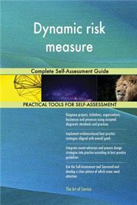 Dynamic risk measure