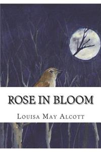 Rose in Bloom