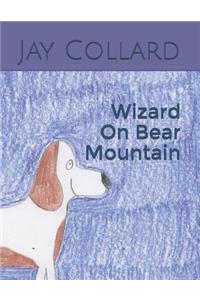 Wizard on Bear Mountain