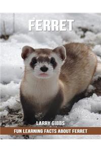 Fun Learning Facts about Ferret