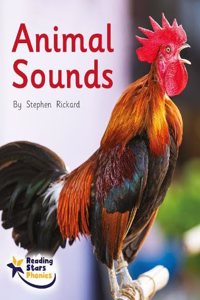 Animal Sounds