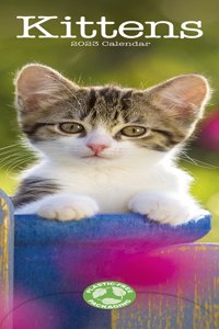 Kittens 2023 Slim Calendar