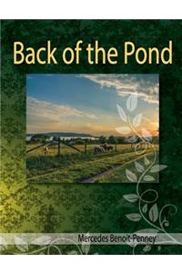 Back Of The Pond