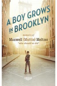 A Boy Grows in Brooklyn