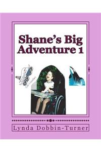 Shane's Big Adventure 1