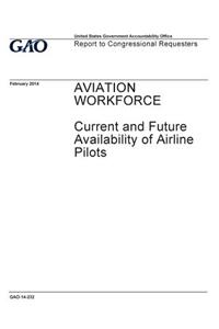 Aviation workforce