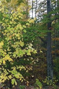 Journal Autumn Yellow Leaves