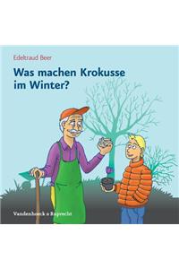 Was Machen Krokusse Im Winter?