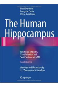 Human Hippocampus