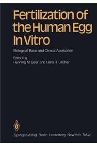 Fertilization of the Human Egg in Vitro