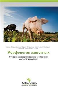 Morfologiya Zhivotnykh