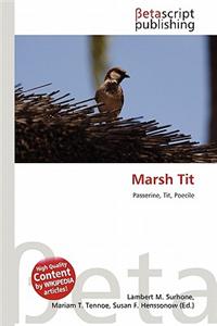 Marsh Tit
