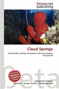Cloud Sponge