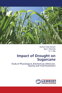 Impact of Drought on Sugarcane