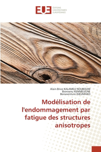 Modélisation de l'endommagement par fatigue des structures anisotropes