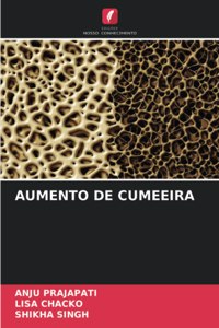 Aumento de Cumeeira