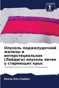 Опухоль поджелудочной железы и интерстиц