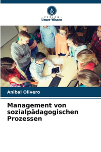 Management von sozialpädagogischen Prozessen