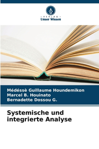 Systemische und integrierte Analyse