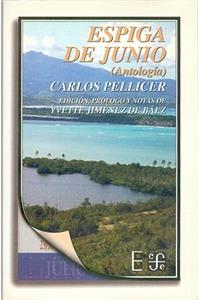 Espiga de Junio