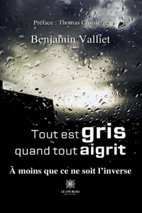 Tout est gris quand tout aigrit
