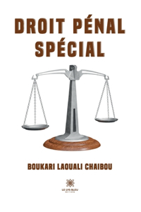 Droit pénal spécial