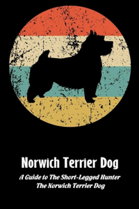 Norwich Terrier Dog