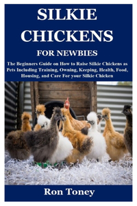 Silkie Chickens for Newbies