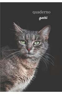 quaderno speciale per gatti