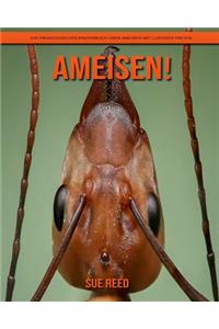 Ameisen! Ein pädagogisches Kinderbuch über Ameisen mit lustigen Fakten