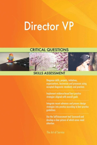 Director VP Critical Questions Skills Assessment