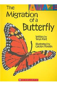Migration of a Butterfly