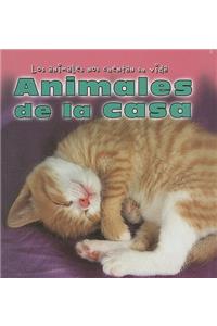 Animales de la Casa (Animals Around the House)