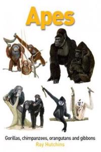 Apes: Gorillas, Chimpanzees, Orangutans and Gibbons